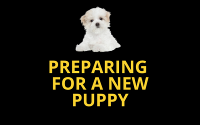 Preparing for a New Puppy