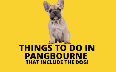 Things to do in Pangbourne – that include the dog!