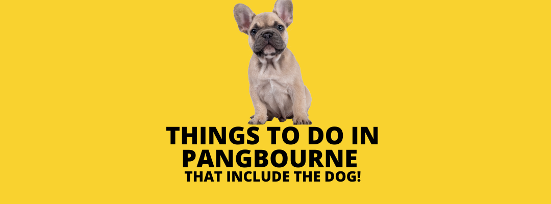 Things to do in Pangbourne with a dog