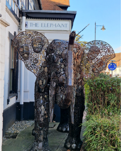 Things to do in pangbourne - elephant
