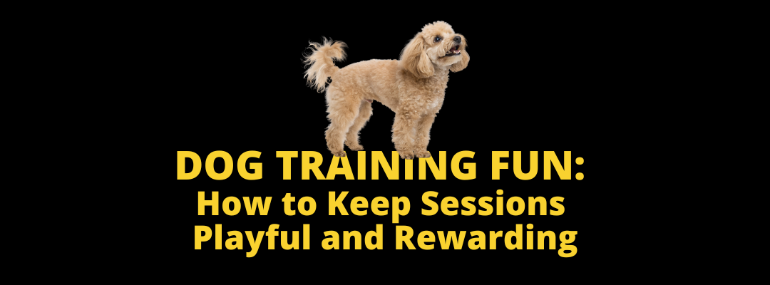 Dog training fun - blog header