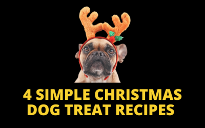 Christmas dog treat recipes