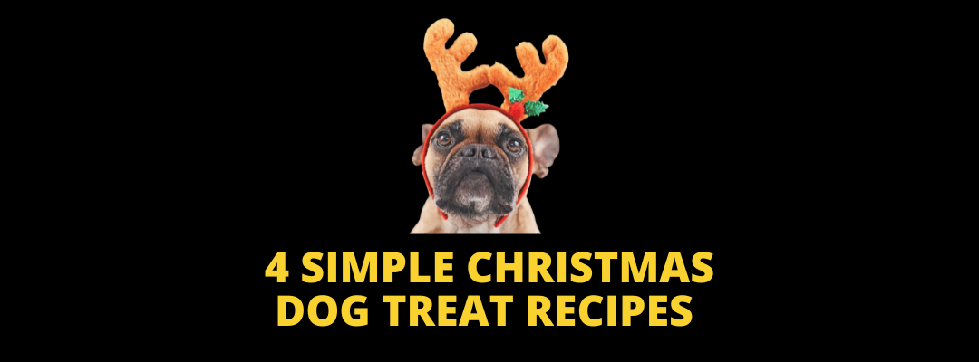 Christmas dog treat recipes