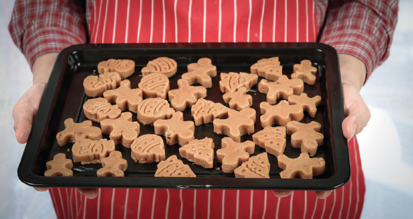 Puppy starter guide from Happipup - puppy training school in Pangbourne