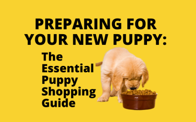 Preparing for Your New Puppy: The Essential Puppy Shopping Guide