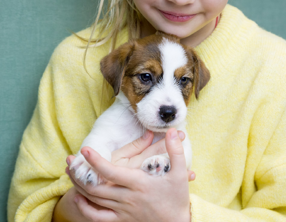 Puppy and child - build bonds with Puppy - puppy training Pangbourne